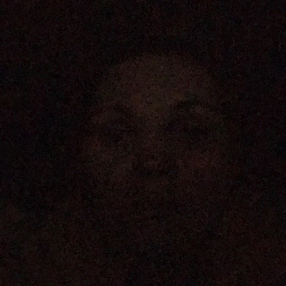 Meet your Posher, Hollie